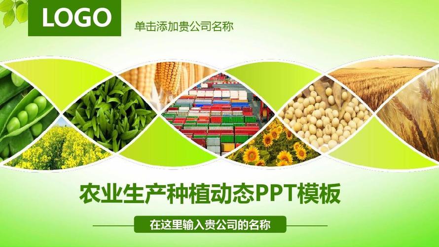 农业生产种植动态 从传统耕作到智慧田间的转型之路