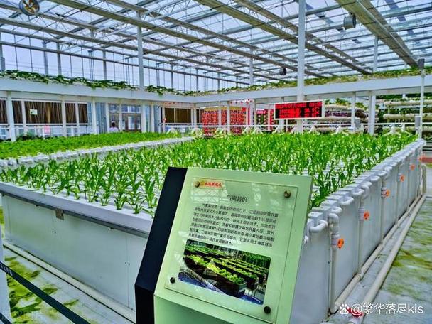 农业种植概念深度分析 黑芝麻、农发种业、广宇集团、万向德农