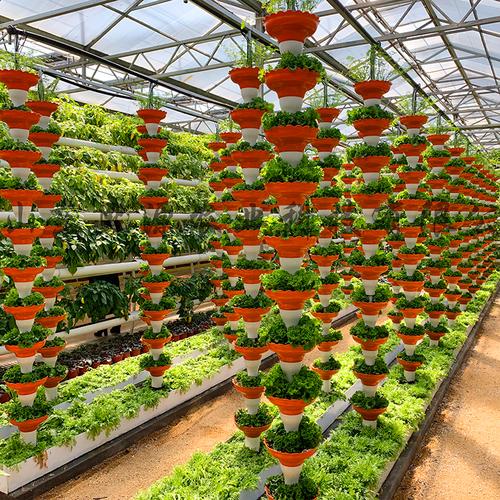基质土栽培与水培蔬菜 无土栽培设备批发与高产种植全解析
